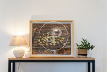 House for rent in Alcudia