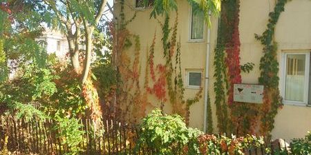 Inchiriez casa cu curte - Fotografie 3