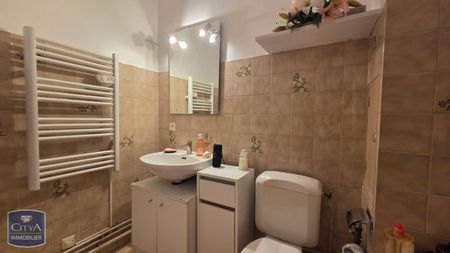 Location Appartement 1 pièce 20m² CLERMONT FERRAND 63000 - Photo 5