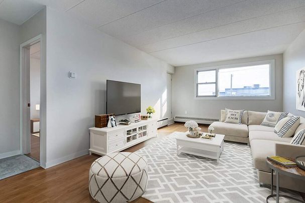 Renovated Suite - 1 Bedroom - Photo 1