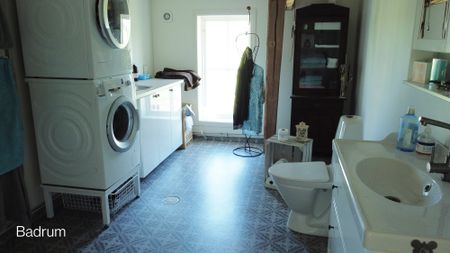 Skogstibble, Vänge - Photo 5