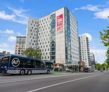 8 Mount Street, Grafton, Auckland - Photo 6