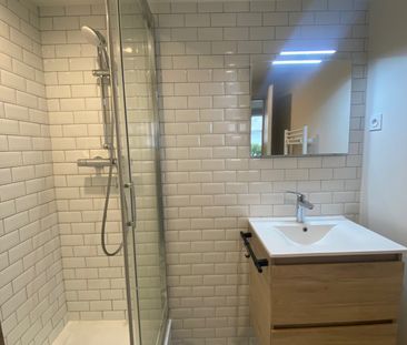 Location Appartement 1 pièce 26m² BRIGNAIS 69530 - Photo 6