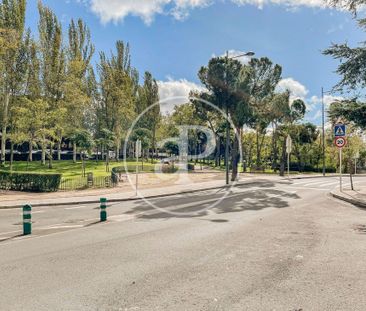 Majadahonda, Community of Madrid 28221 - Photo 5