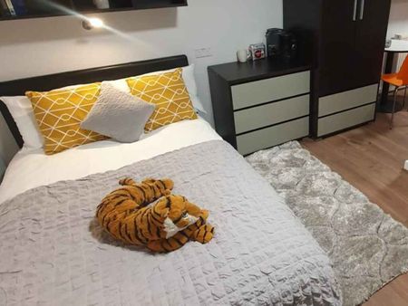 Classic Studio - Photo 5