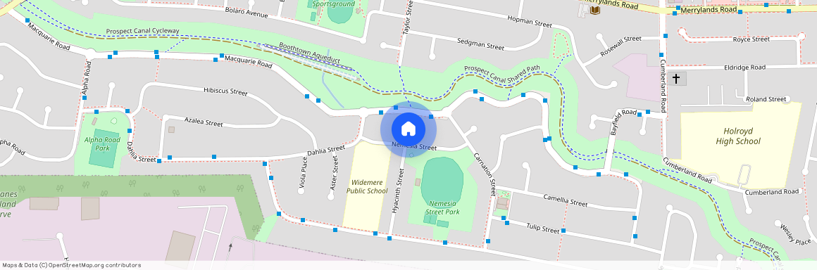 17A Nemesia St, NSW 2145, Greystanes