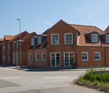 Hals - Photo 6