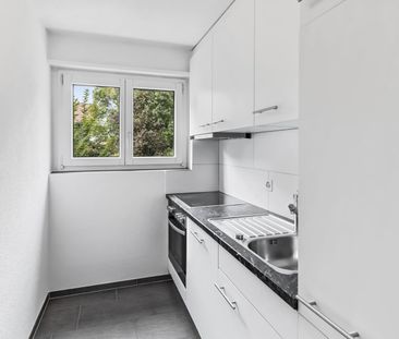 3.5 Zimmer, EG - Photo 2