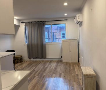 1 CH - 1 SDB - Montréal - $1,195 /mo - Photo 3