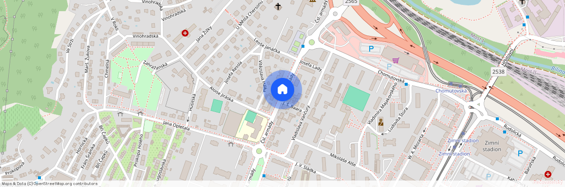 Pionýrů 2956, Most