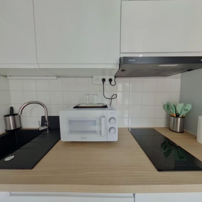 Location Appartement 1 pièce Meublé 20m² TOURS 37200 - Photo 1