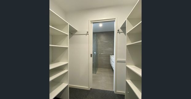 ABUNDANCE OF NATURAL LIGHT - Photo 1