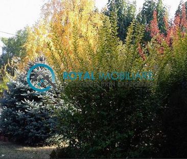 Royal Imobiliare Inchiriere Vila Zona Paulesti - Photo 6