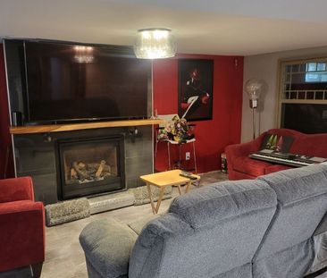 For Lease - 56 Argyle Crescent Unit# Bsmt, St. Catharines, Ontario - Photo 1