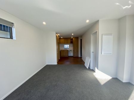 24/101 Mackworth Street, Woolston - Photo 5