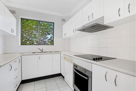 Another Successful Result by David Ibanez - Photo 4