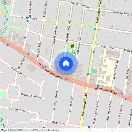 44 Noble Avenue, NSW 2135, Strathfield