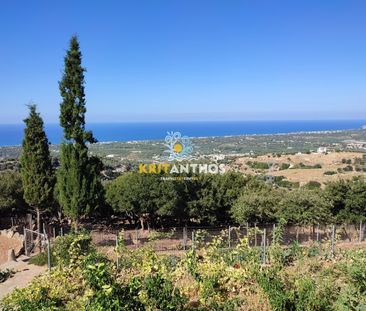 Εξοχική κατοικία Μαρουλάς - Ρέθυμνο - Φωτογραφία 5