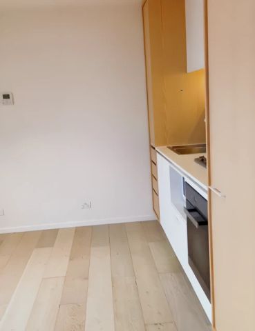 1 steam mill lane Haymarket, Sydney - Photo 4