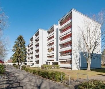 Wohnung mit Aussicht in Aesch - Photo 5