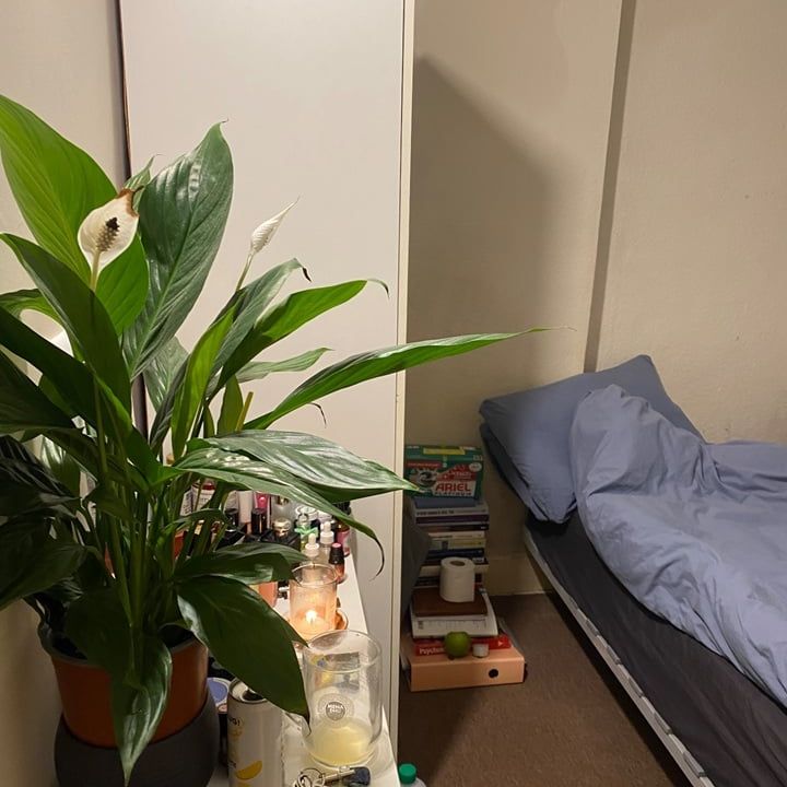 Room in a Shared Flat, Beresford Road, N8 - Photo 1