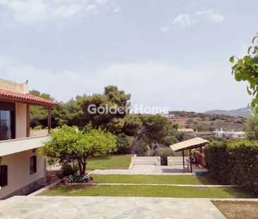 Μονοκατοικία 235 τ.μ. προς ενοικίαση - Photo 2