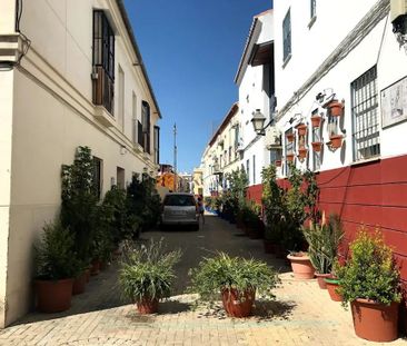 Calle San Pablo, Málaga, Andalusia 29009 - Photo 2