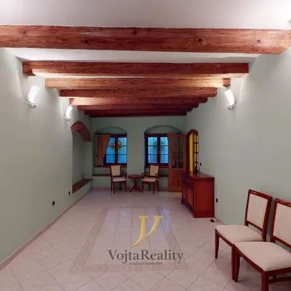 Pronájem, Atypický byt s komerčními prostorami, 360 m - Fotografie 1