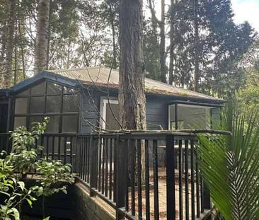 Charming One bedroom surrounded by bushland - Photo 4