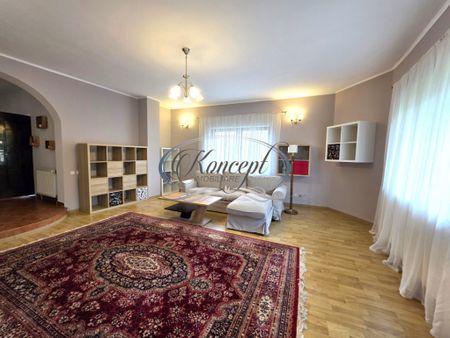 Apartament cu garaj, terasa si curte, Zorilor, pet friendly - Photo 4