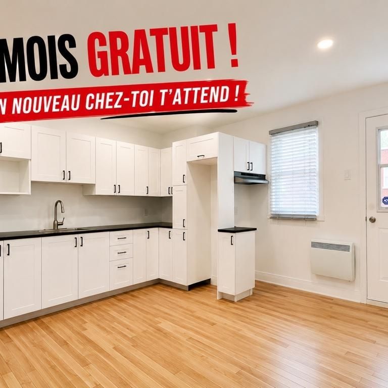 3.5 entièrement rénové dans Rosemont, 1er mois de loyer gratuit !! - Photo 1