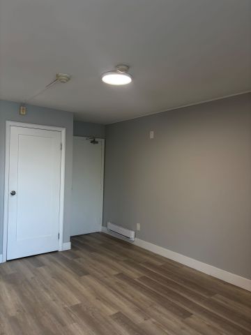 For Lease - 253 Augusta Avenue Unit# 3, Toronto, Ontario - Photo 3
