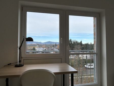 Voll möbliertes, schönes Mikro-Apartment mit toller Aussicht - Photo 4