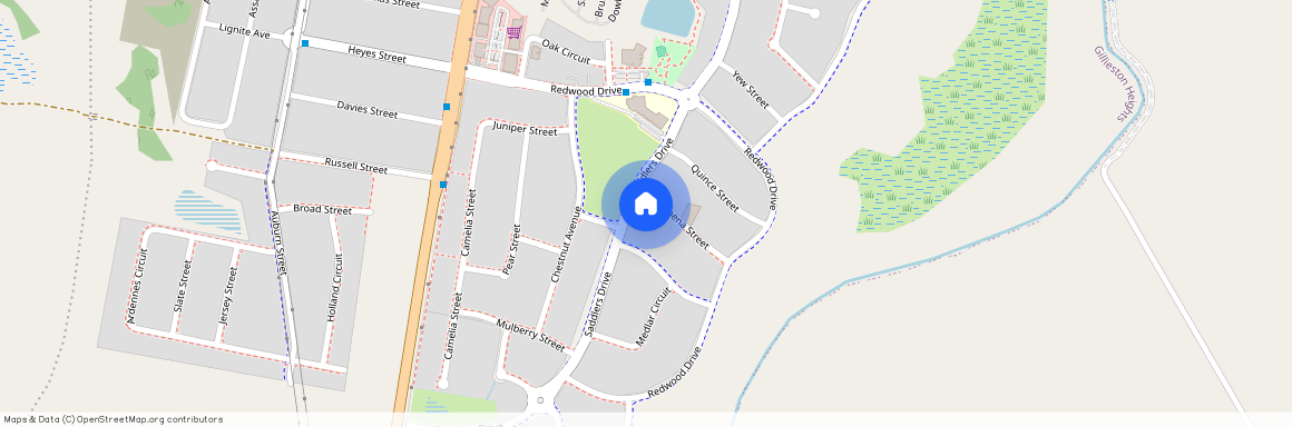 4A Acmena Street, NSW 2321, Gillieston Heights