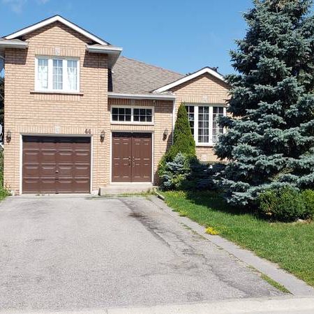 Beautiful 3 bedroom house for rent! - Photo 4