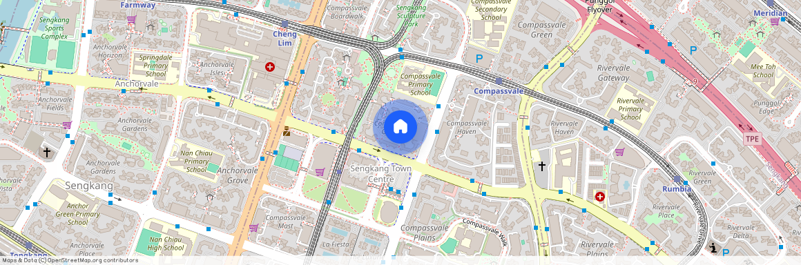 258B Compassvale Road (542258), Singapore