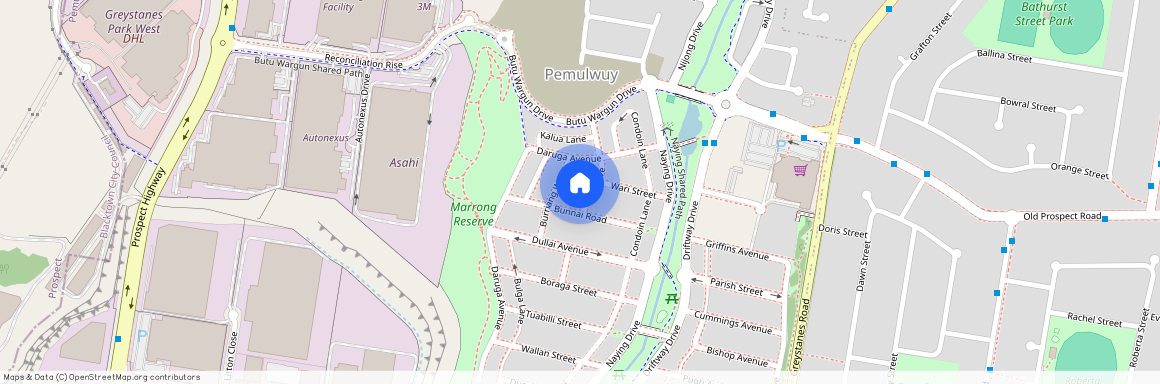 5 Nea Drive, NSW 2145, Pemulwuy