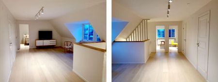 Skrakvägen, Falsterbo - Foto 2