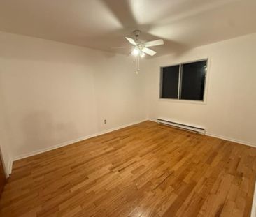 BEAU ET GRAND 4.5 LIBRE MAINTENANT RÉNOVÉ PEINTURÉ MONTREAL NORD - Photo 1