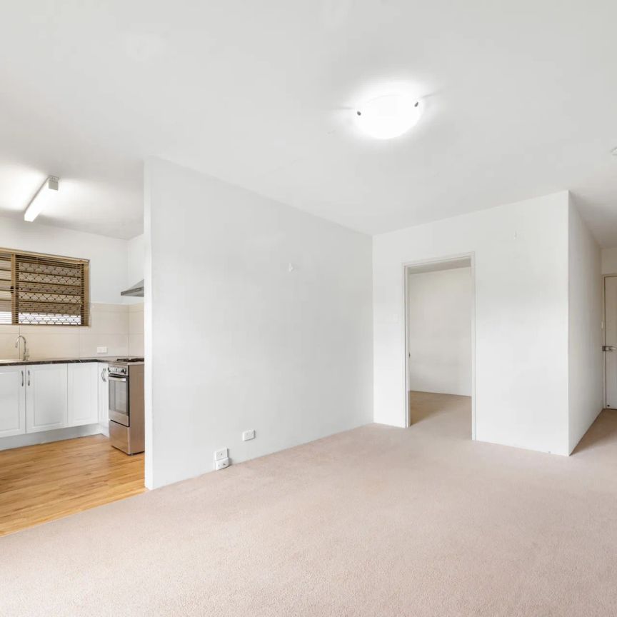 Stylish One-Bedroom Apartment in the Heart of Coorparoo - Photo 1