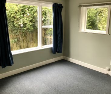 50 Bedford Street, Northland - Photo 2