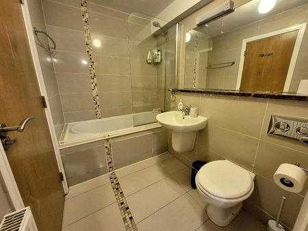 No 22 Bastion Quay, Deerpark Road, County Westmeath, N37 W596, Athlone - Photo 5