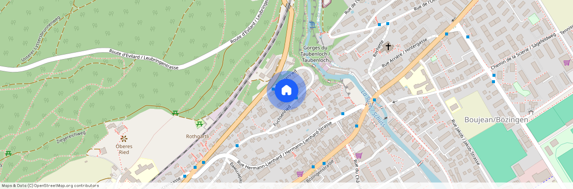 2504, Biel-Bienne, Fuchsenried, 17A