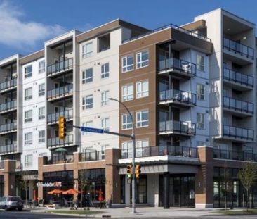 1bed 1bath Condo; Lodges – Available September – Unit 2-603 - Photo 2
