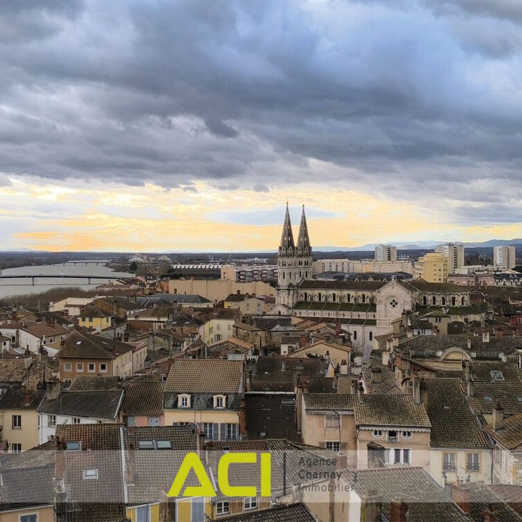 MACON CENTRE – APPARTEMENT T3 BIS AVEC MAGNIFIQUE VUE SUR LE VAL DE SAONE - Photo 1