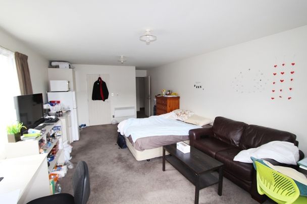 Room 1/4 Ethel Benjamin Place, Dunedin North, Dunedin City - Photo 1