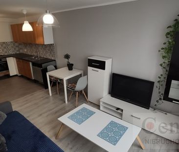 Opole, Centrum Mieszkanie na wynajem - Photo 2