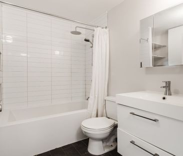 Appartement à louer - Montréal (Le Plateau-Mont-Royal) (Le Plateau-... - Photo 4