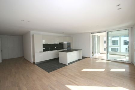Magnifique appartement à 5 minutes à pied du lac - Photo 4