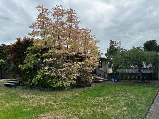 4 Armitage Place, Tuakau - Photo 1